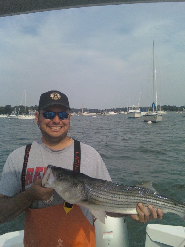 Striped Bass