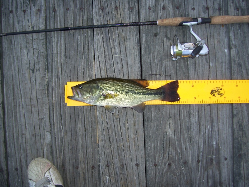 10/2/09 - Lake Cochituate