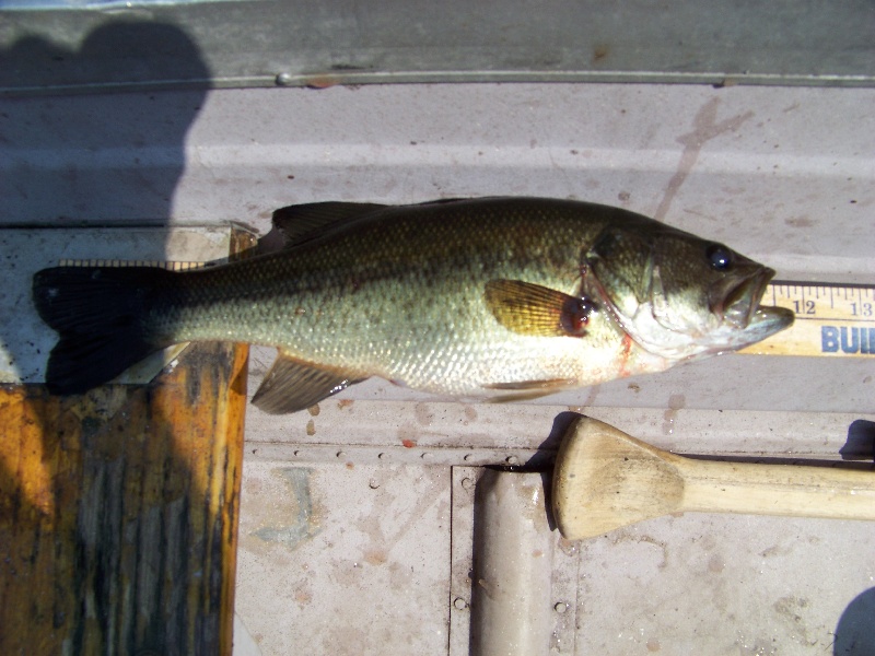 1.7lbs at Black Pond