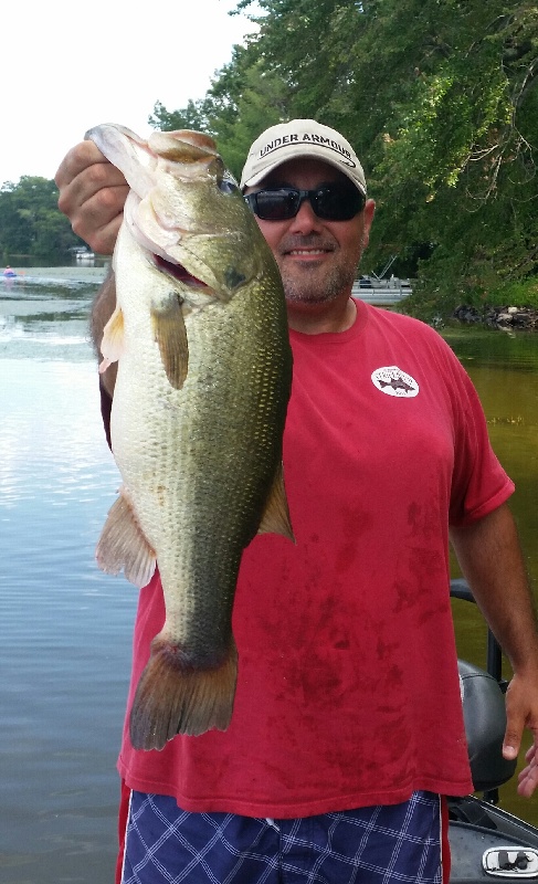 Labor day pig